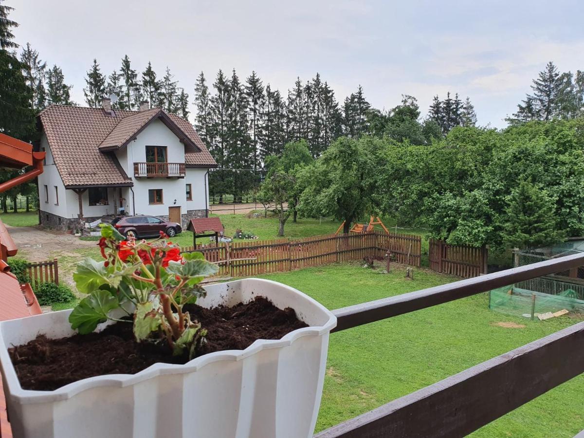 Kurnik Polski Agroturystyka Tykocin Exteriör bild