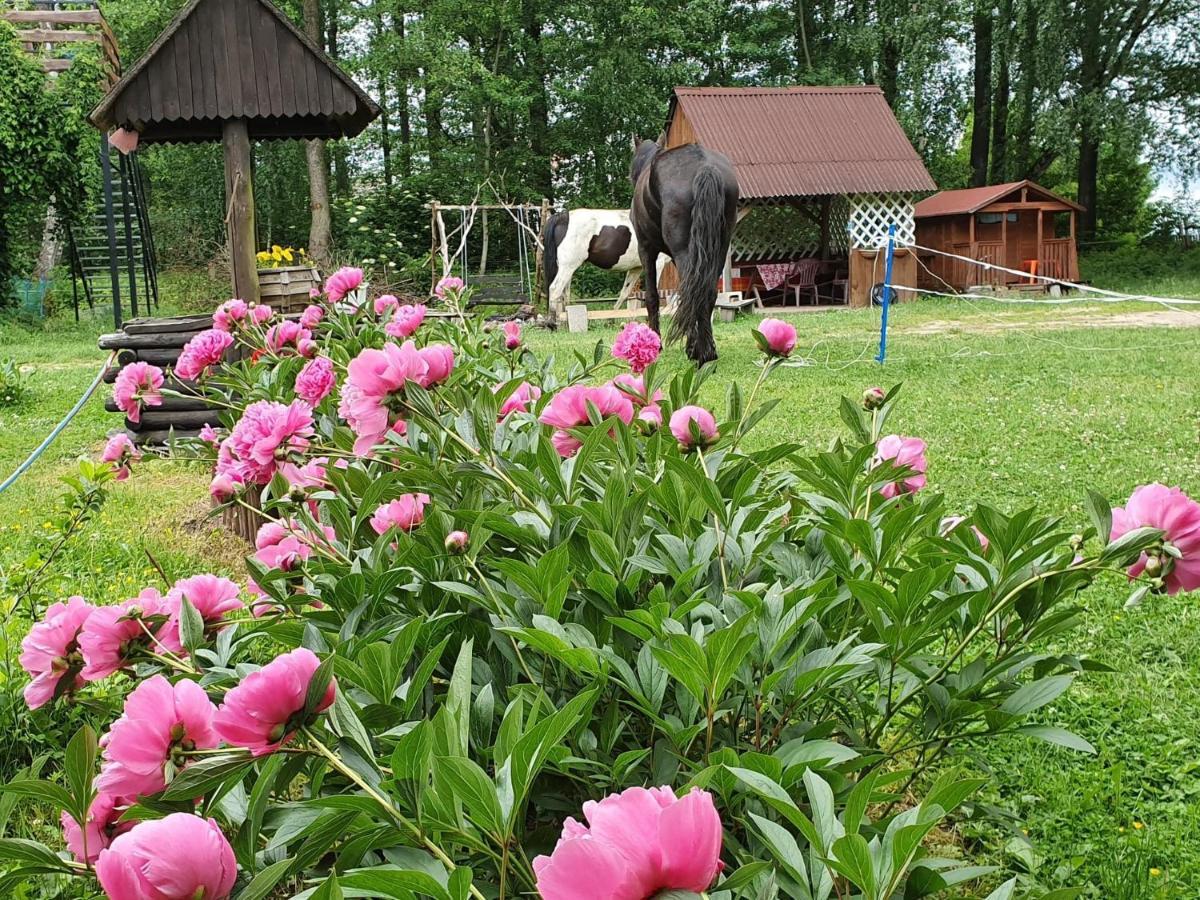 Kurnik Polski Agroturystyka Tykocin Exteriör bild