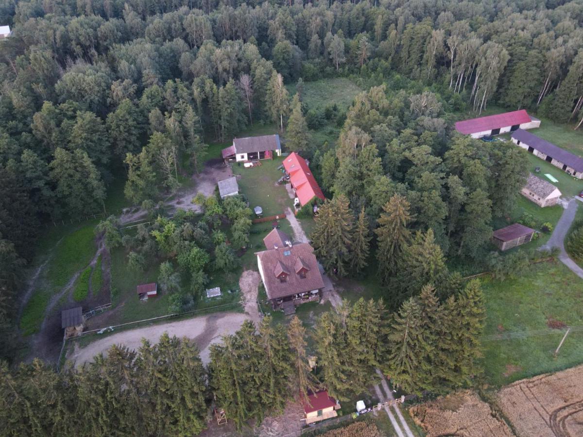 Kurnik Polski Agroturystyka Tykocin Exteriör bild
