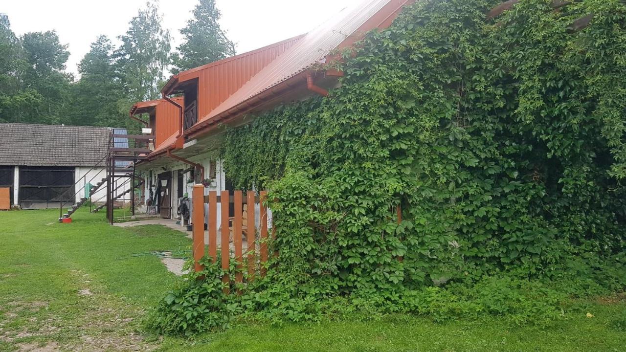 Kurnik Polski Agroturystyka Tykocin Exteriör bild