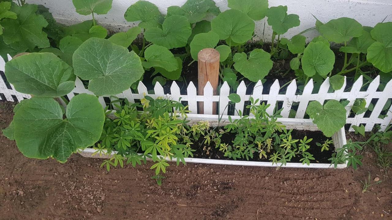 Kurnik Polski Agroturystyka Tykocin Exteriör bild