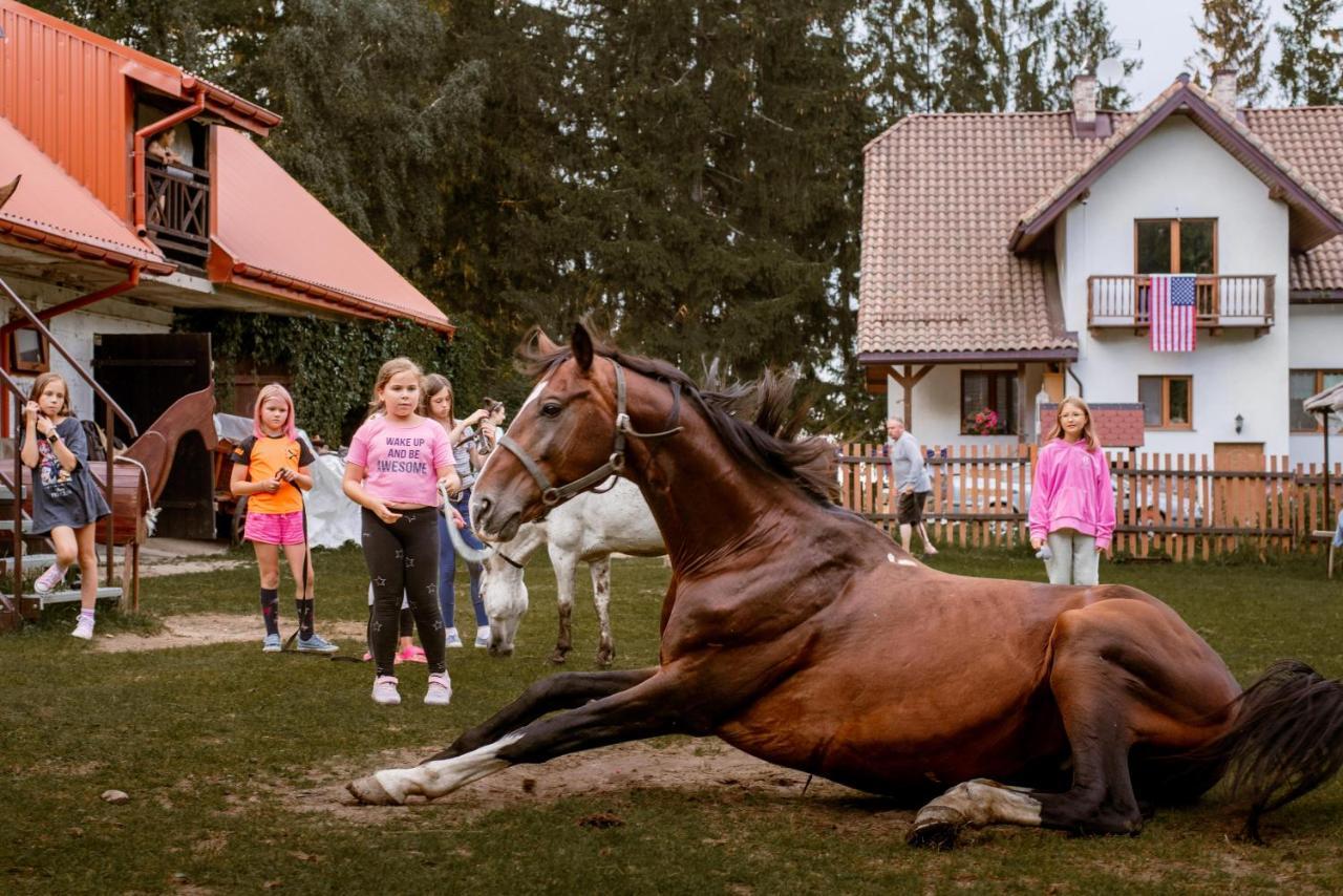 Kurnik Polski Agroturystyka Tykocin Exteriör bild