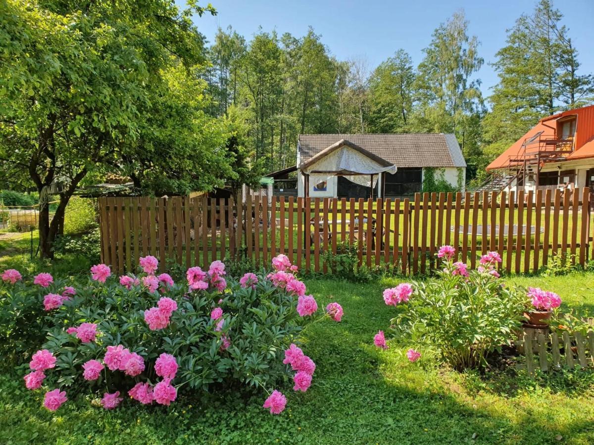 Kurnik Polski Agroturystyka Tykocin Exteriör bild