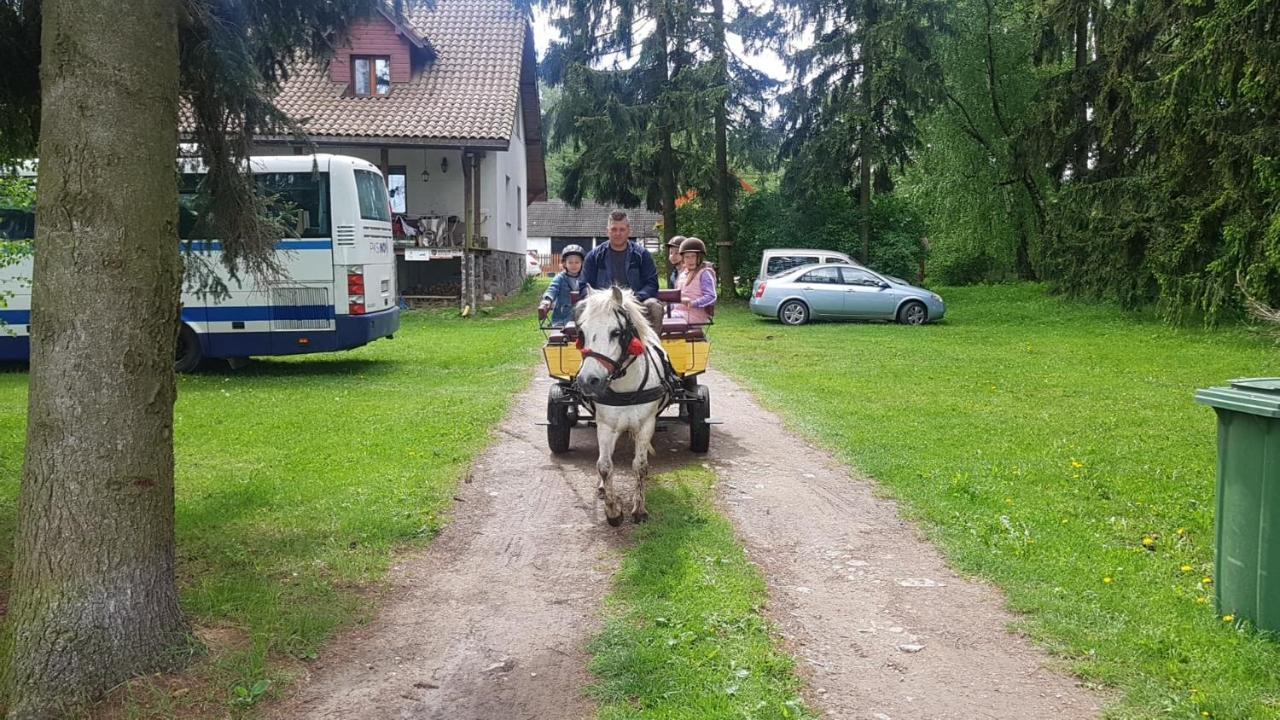 Kurnik Polski Agroturystyka Tykocin Exteriör bild