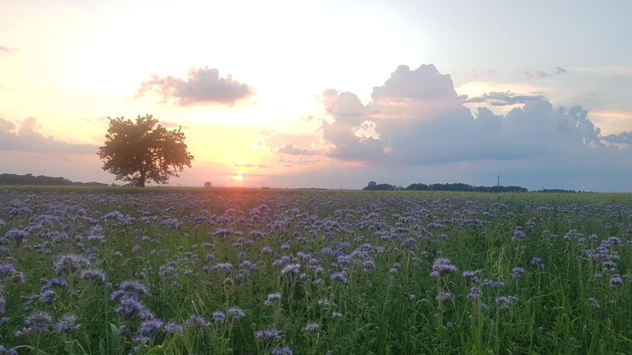 Kurnik Polski Agroturystyka Tykocin Exteriör bild