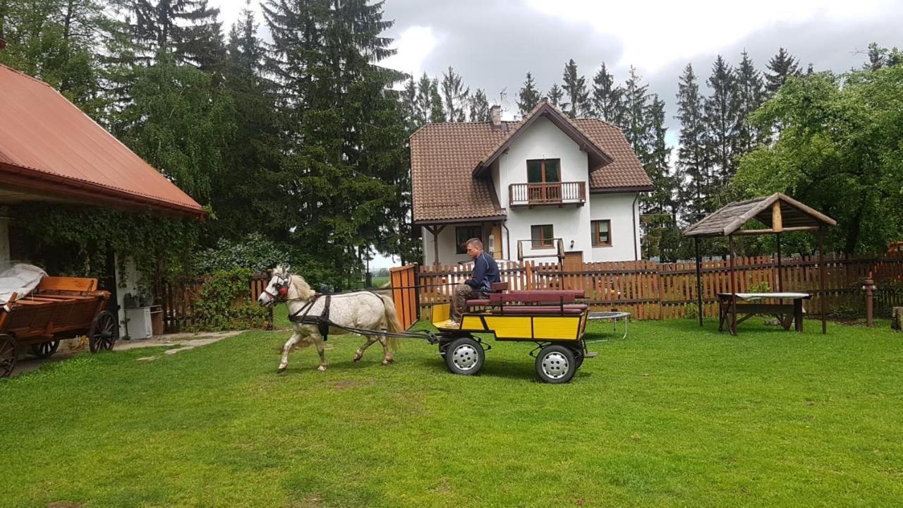 Kurnik Polski Agroturystyka Tykocin Exteriör bild