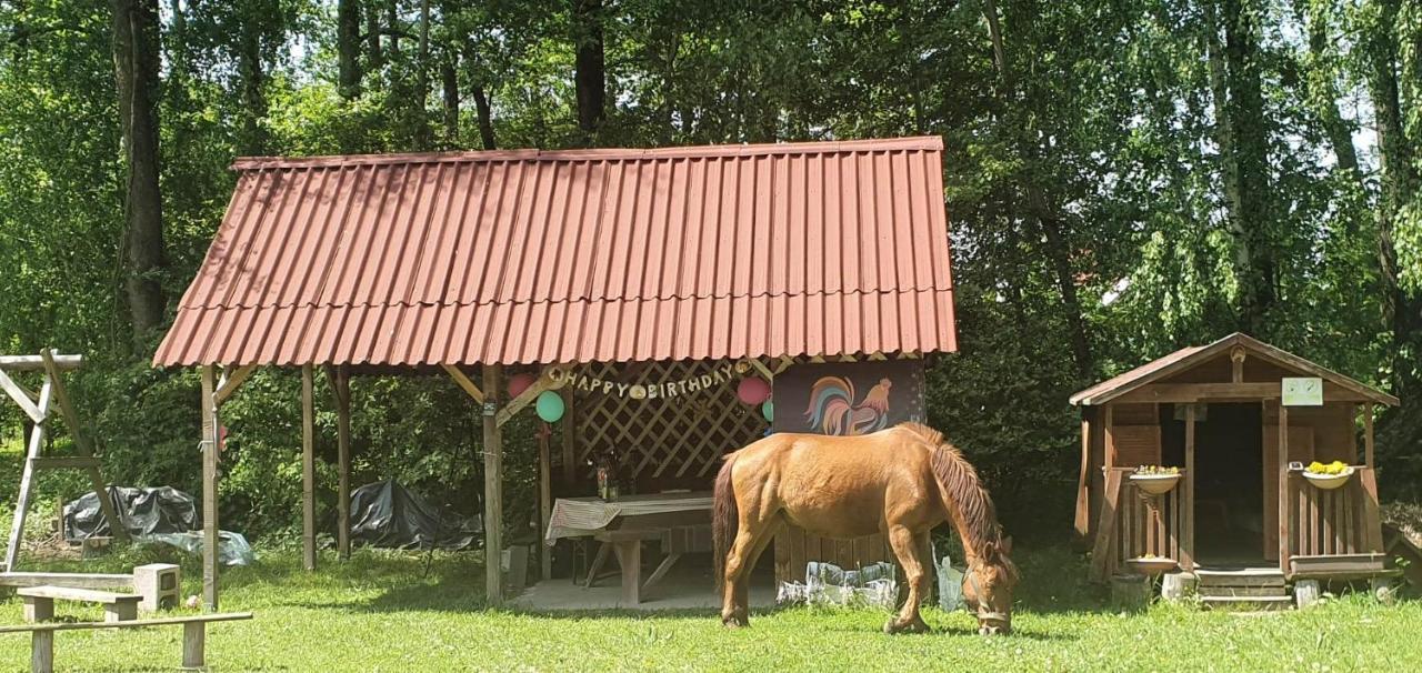 Kurnik Polski Agroturystyka Tykocin Exteriör bild
